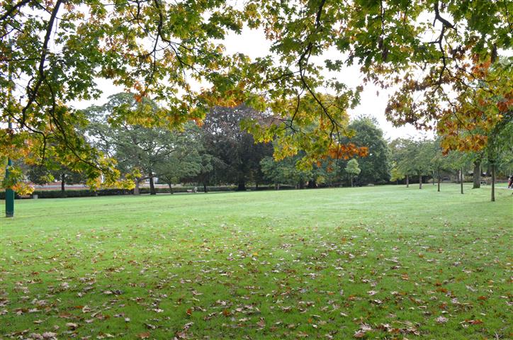 People's Park grassed area