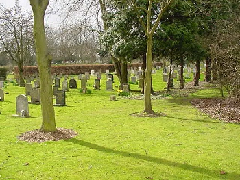 gravestones and trees